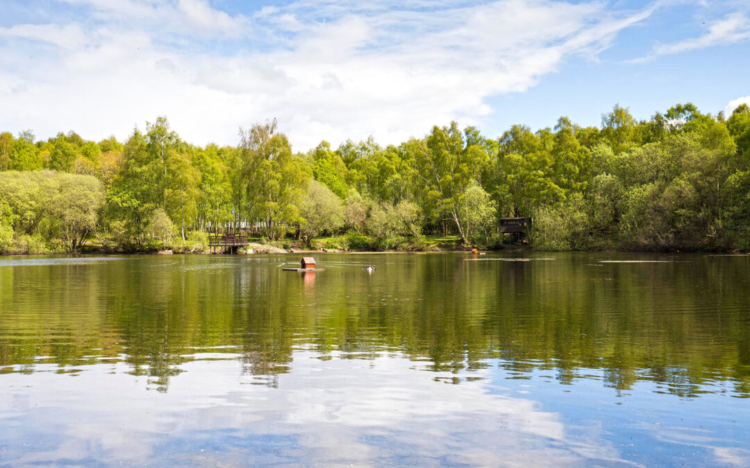 View over Doune Ponds in May 2021