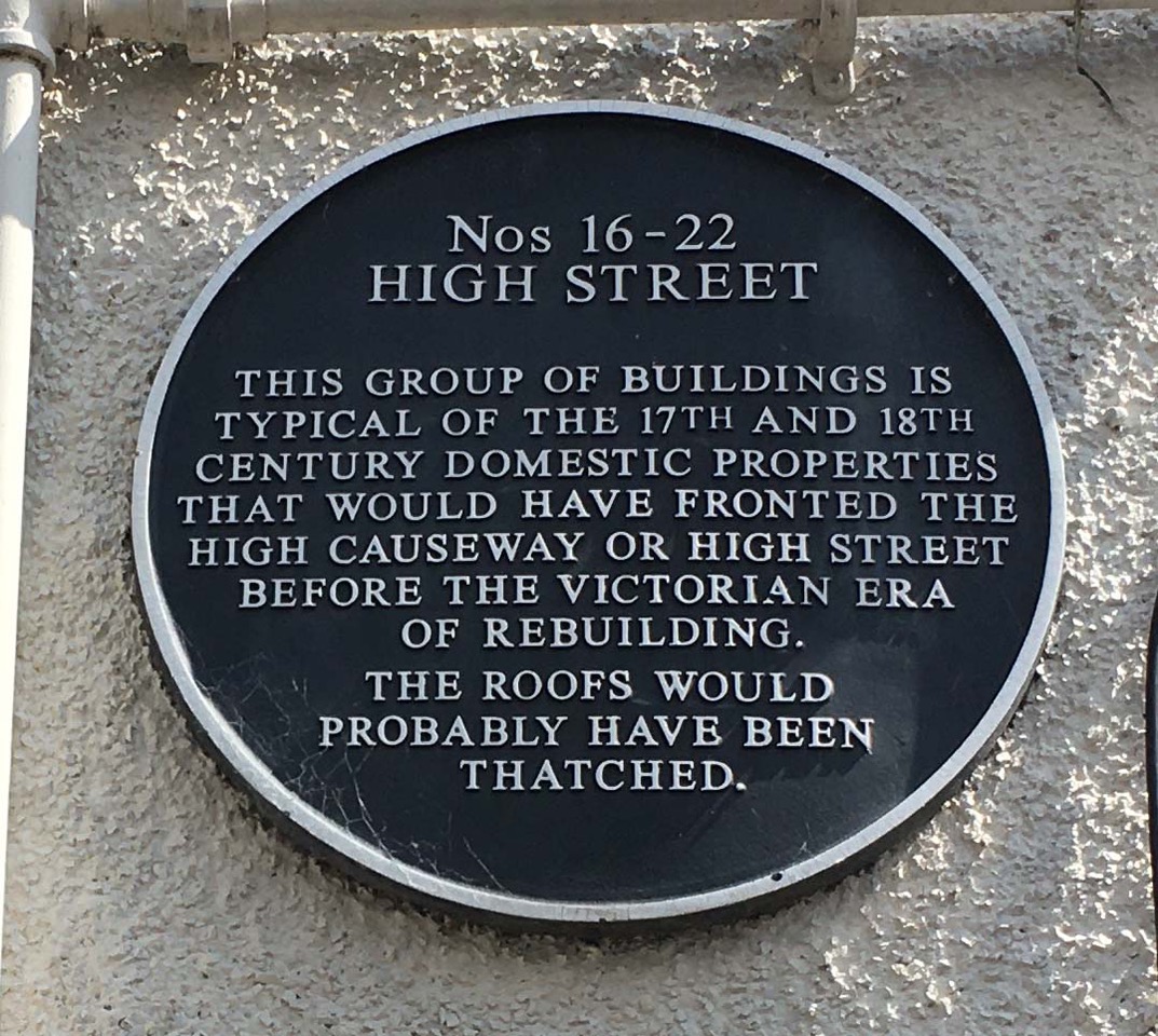 Plaque sample 1