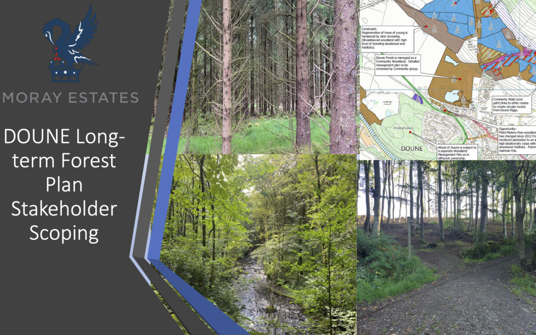 Moray Estates: Long-term Forest Plan Consultation