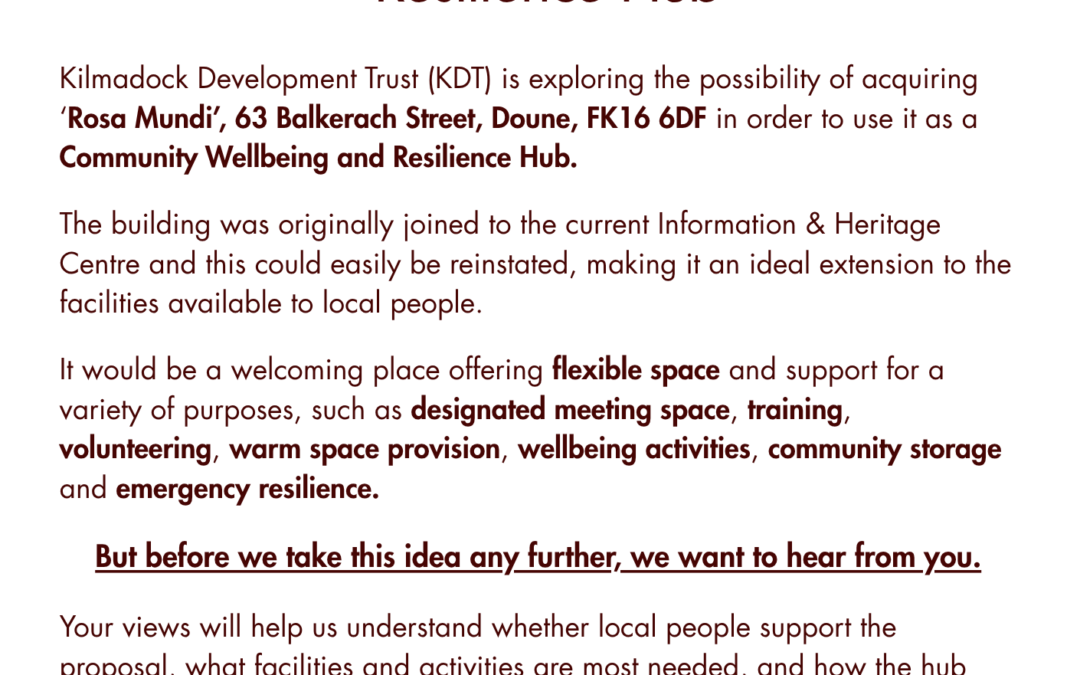 Flyer for community survey